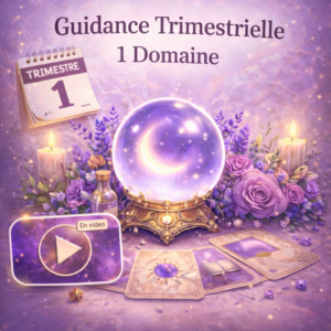 Guidance trimestrielle Vidéo – 1 domaine