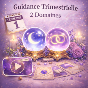 Guidance trimestrielle Vidéo – 2 domaines