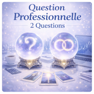 Question professionnelle – 2 questions