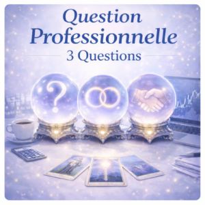 Question professionnelle – 3 questions